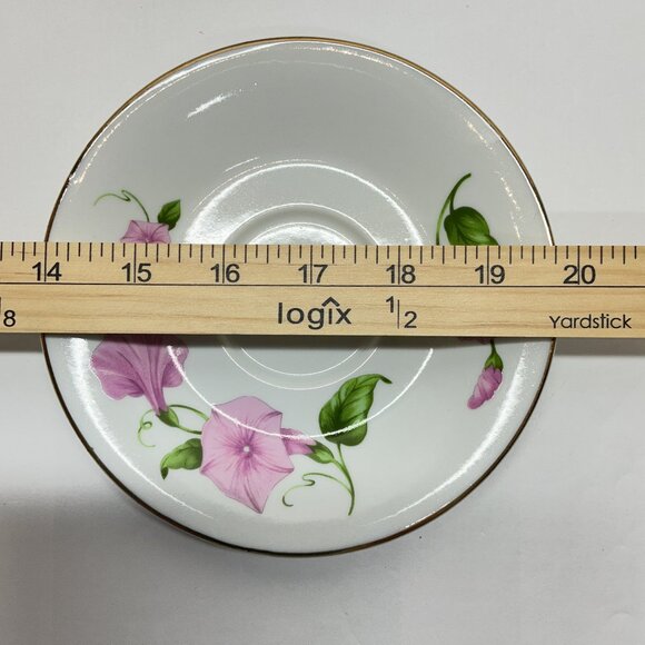 Morning Glory? Saucer & Cup No Call Outs Add to your collection! - Picture 10 of 11